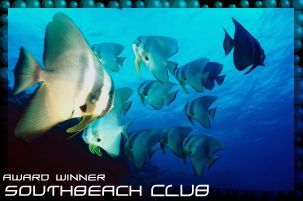 Club Award