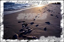 Shores Award