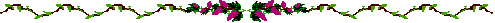 vine