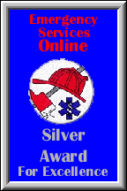 Silver Award