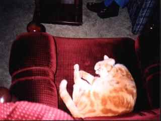 redchair