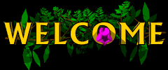 flowerwelcomebgblk