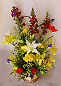 flowers