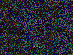 Click to see the full view of design4.gif