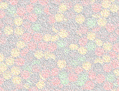 Click to see the full view of design5.gif