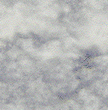 Click to see the full view of marble1.gif