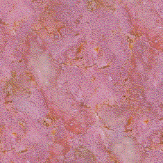Click to see the full view of marble3.gif