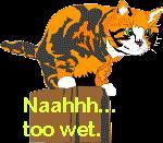 too wet, no thanks