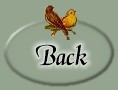 Back to 7th Heaven