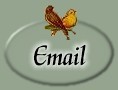 Send email to: