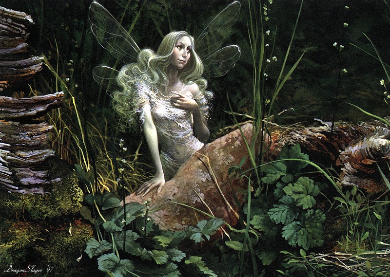 Fairy
