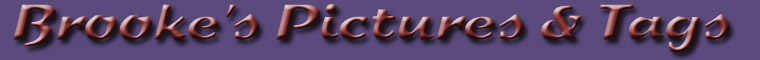 Brooke's Pictures and Tags