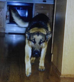 Ben