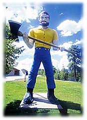 NAU LUMBERJACK