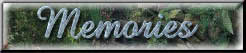 GMemories.jpg (3905 bytes)