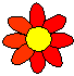 ICQ flower