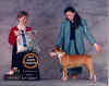 bullterrier-94.jpg (63464 bytes)