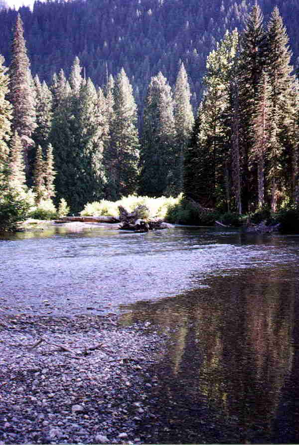 river1.jpg