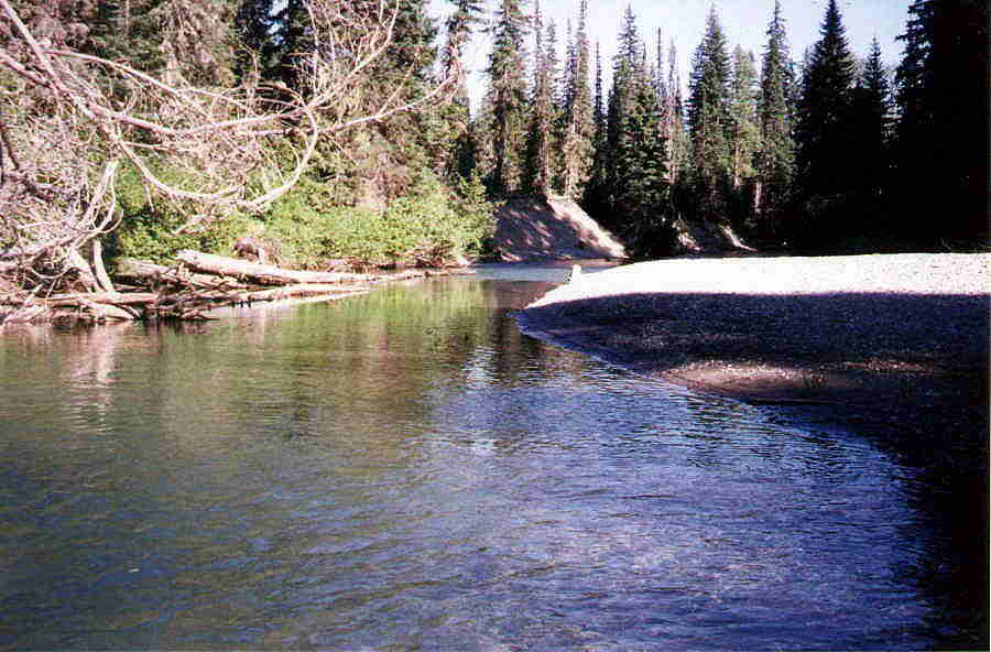 river2.jpg (54386 bytes)