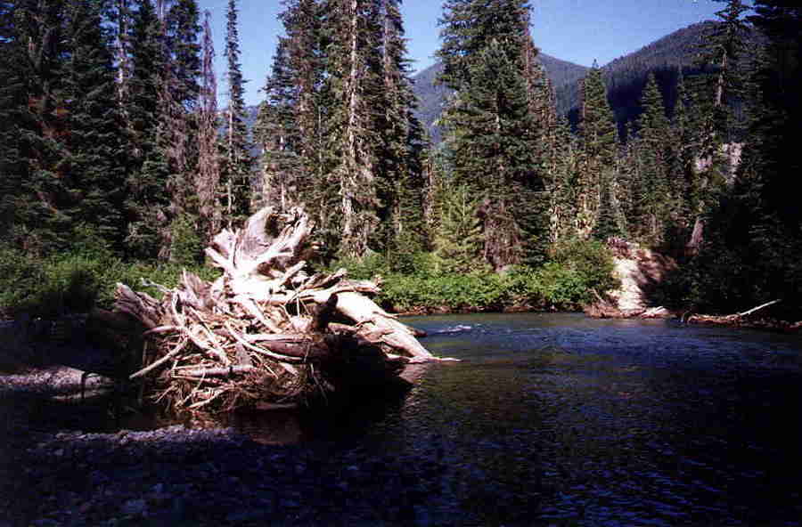 river3.jpg (174563 bytes)