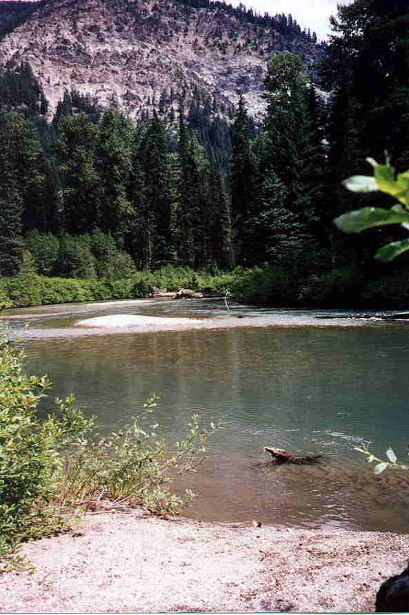 river4.jpg (163037 bytes)