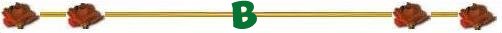 Bbar