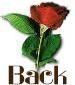 redroseback