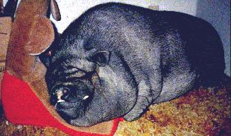 Bufford