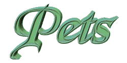 Pets
