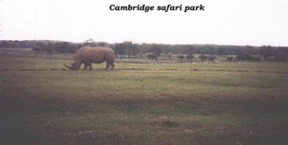 Cambridge,Ontario safari park 98