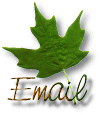 leve2email1.gif