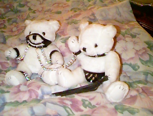 /user/philspics/bears2.jpg