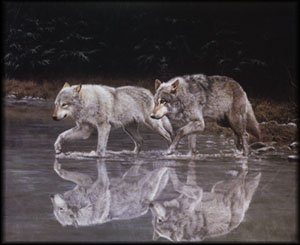 Wolf Blessing