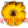 lisal_beach5.gif (8116 bytes)