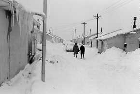 The Street