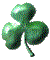 clover