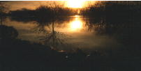 flood picture
