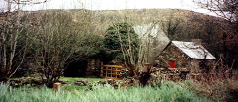 Irish farm