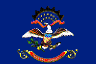 state flag