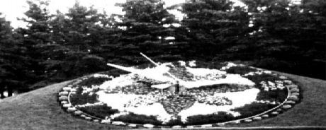floral clock