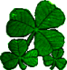 shamrocks