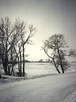 winter scene