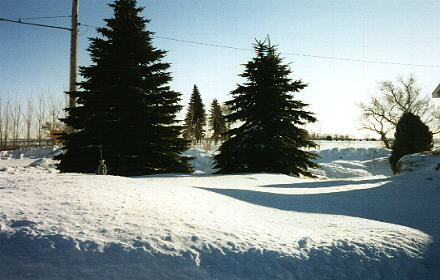 snowfall