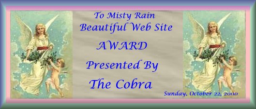 Cobras Beautiful Site Award