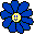 raindaisy