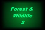 Forest & Wildlife 2