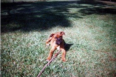 Rusty