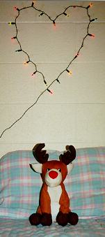 My Caribou!