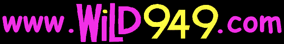 **WILD 94.9 FM**