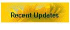 Recent Updates